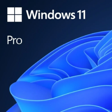 Windows 11 Pro (1 Licentie) (Download)